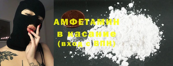 стаф Алзамай