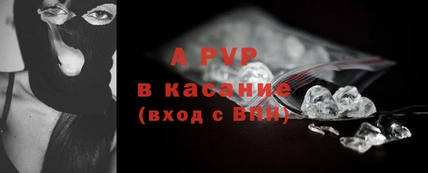 стаф Алзамай