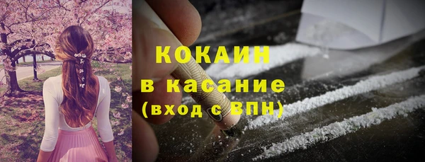 стаф Алзамай