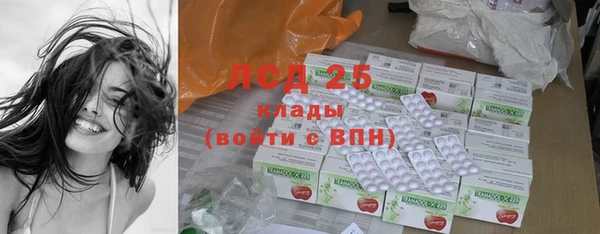 стаф Алзамай